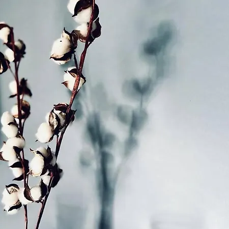 Apartment Casamea - Spacieux T3 Famille, Vue Mer, Parking *