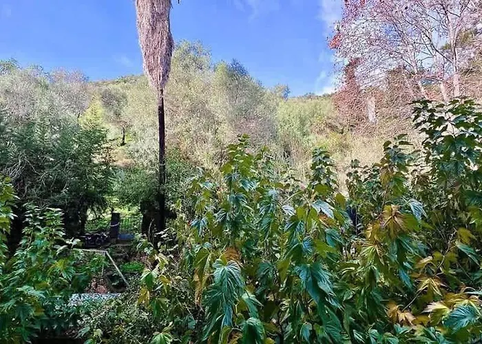 Apartment Casamea - Spacieux T3 Famille, Vue Mer, Parking Ajaccio (Corsica)