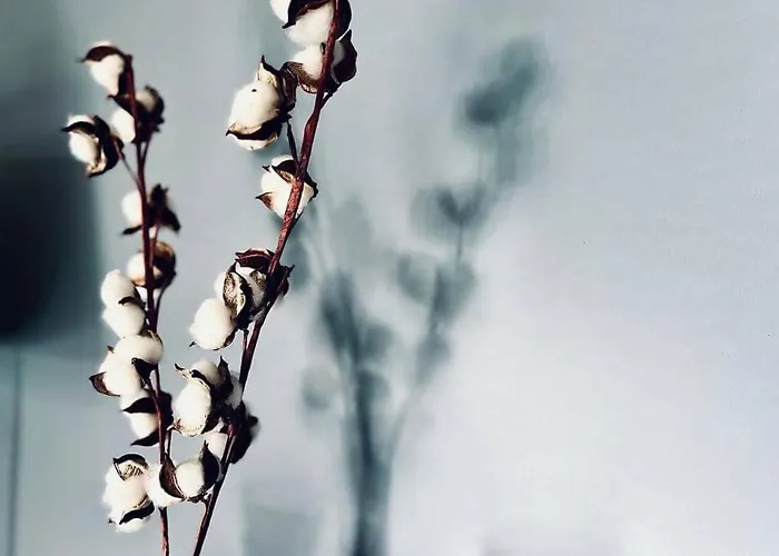 Apartamento Casamea - Spacieux T3 Famille, Vue Mer, Parking *